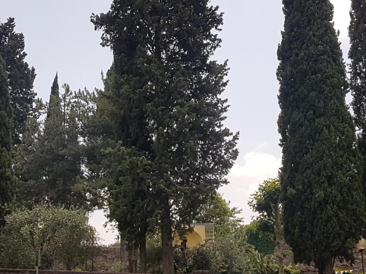 Piccolo Poggio Apartments Φλωρεντία Εξωτερικό φωτογραφία